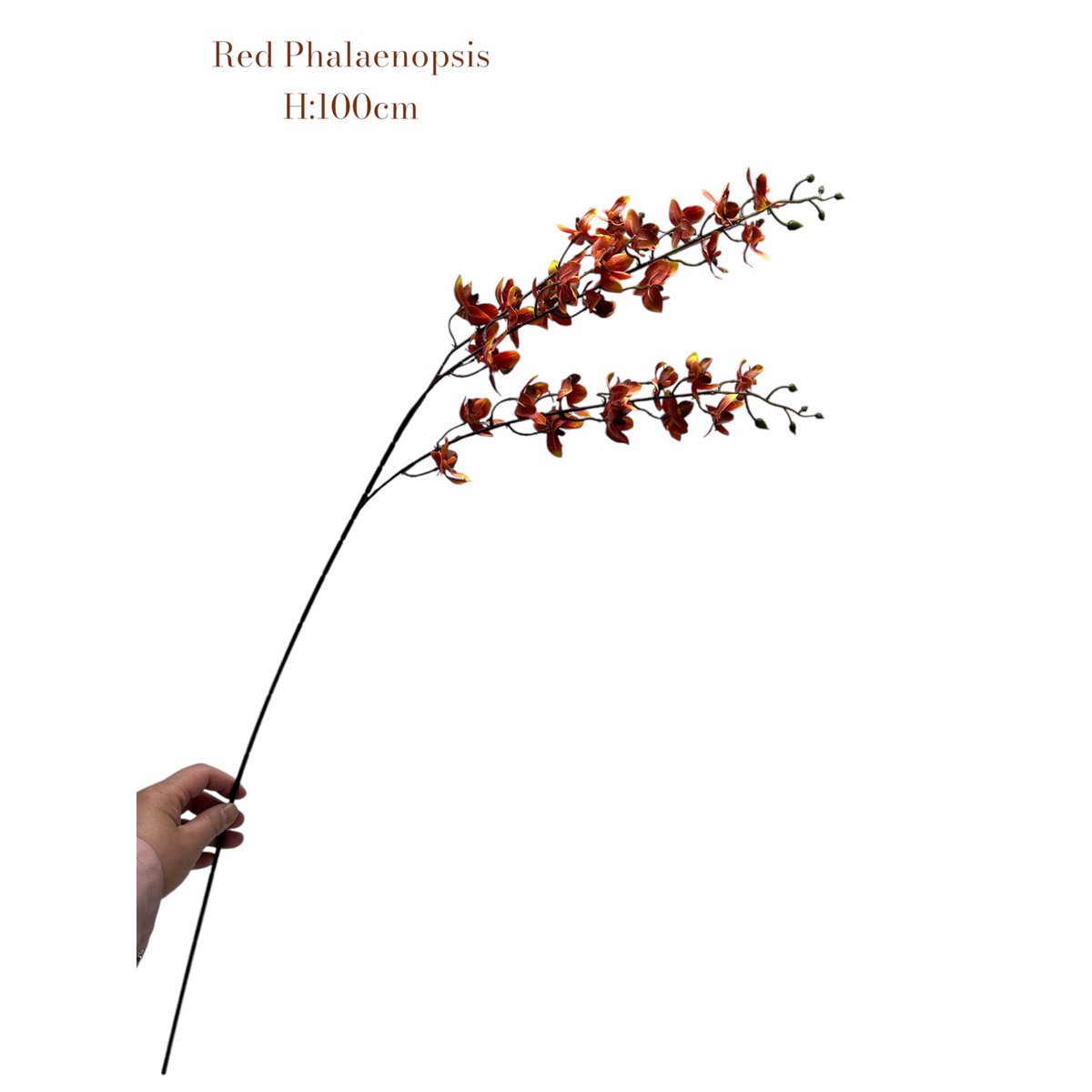 Zijden kunstbloem Phalaenopsis rood - 100 cm