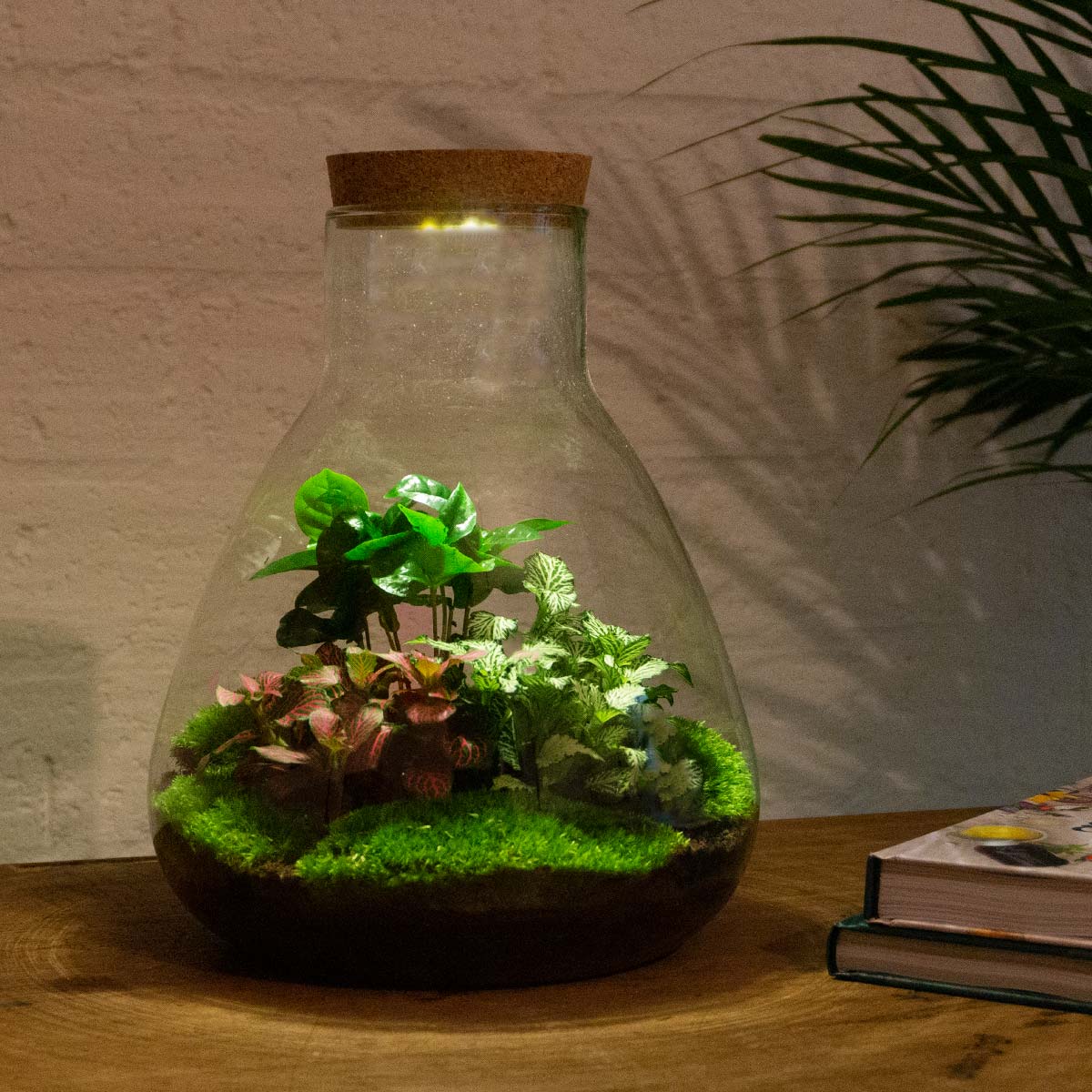 Terrarium bouwpakket - Sam Coffea met licht - Flessentuin - ↑ 30 cm