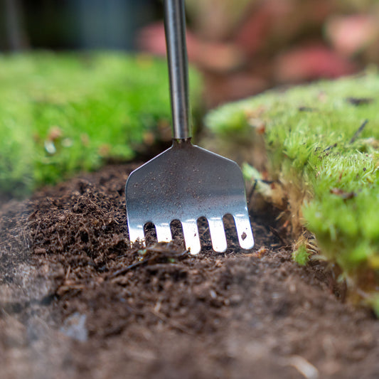 Terrarium gereedschap - Hark - 16-49 cm - Telescopisch - Roestvrij staal