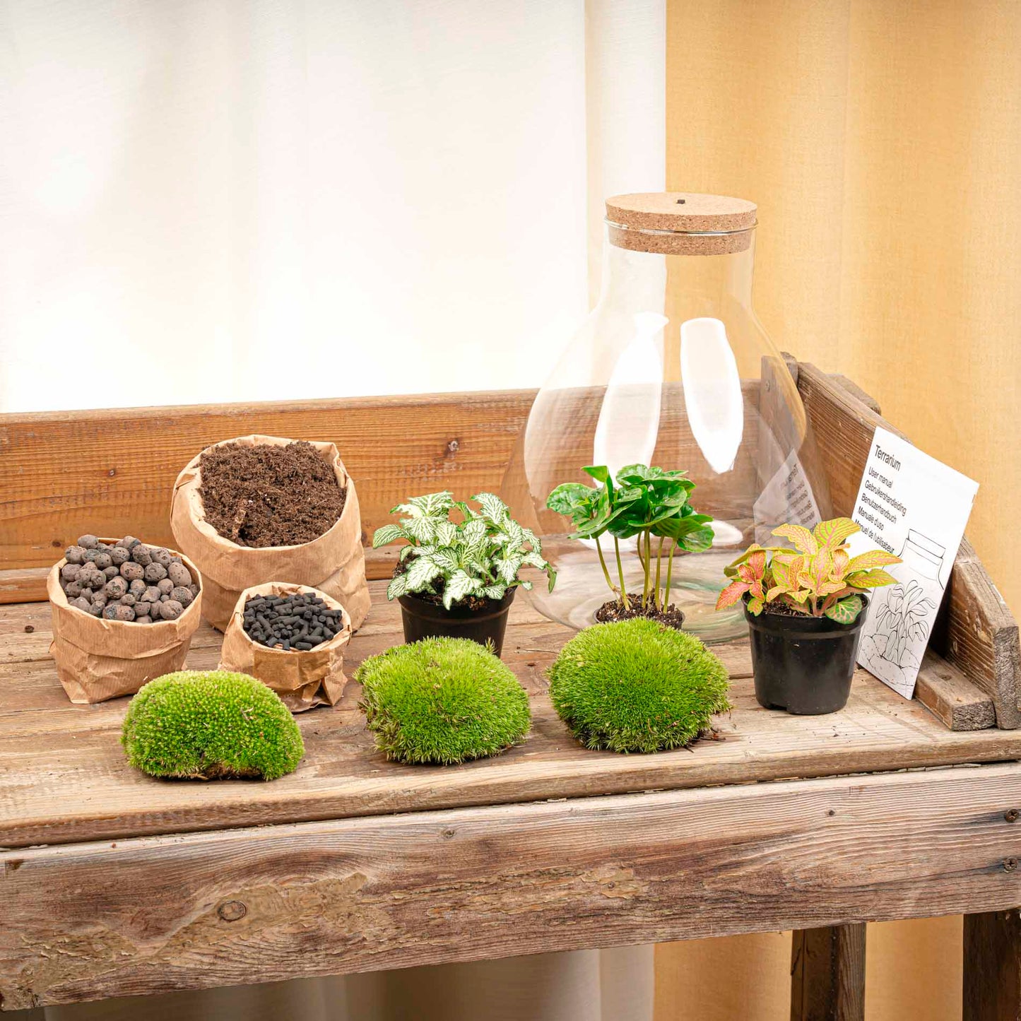 Terrarium bouwpakket - Sam Coffea met licht - Flessentuin - ↑ 30 cm