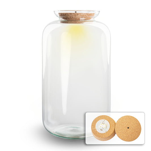 Terrarium met kurk - Sven XL met led verlichting - Gesloten terrarium ↑ 43 cm