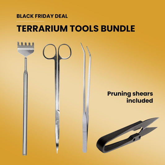Terrarium Gereedschap Bundel - Black Friday Deal