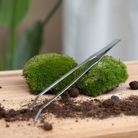 Extra lange Terrarium pincet - 26 cm - Roestvrij staal